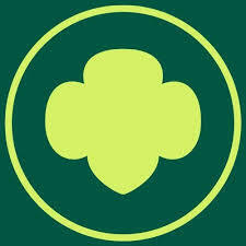 Team Page: Troop 54079